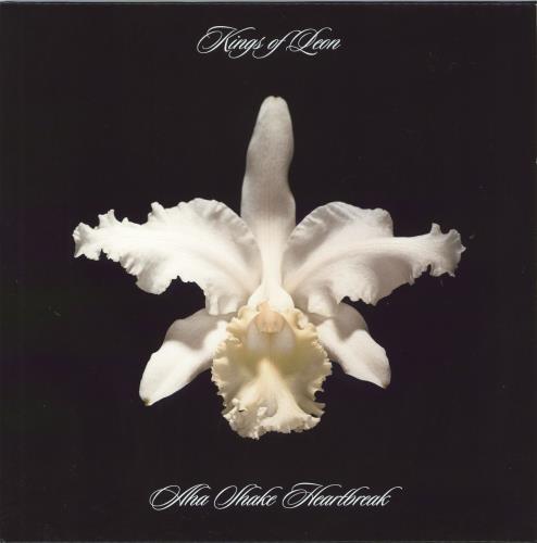 Kings Of Leon Aha Shake Heartbreak - Clear Vinyl 2-LP vinyl record set (Double LP Album) UK KOL2LAH795430