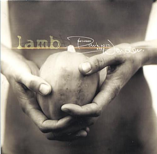 Lamb Between Darkness And Wonder CD album (CDLP) UK L-ACDBE265819