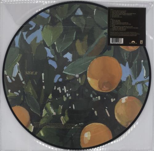 Lana Del Rey Violet Bent Backwards Over The Grass picture disc LP (vinyl picture disc album) UK L3XPDVI882679