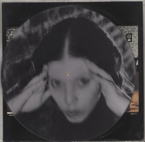 Lene Lovich Stateless + Insert picture disc LP (vinyl picture disc album) UK LLVPDST879500