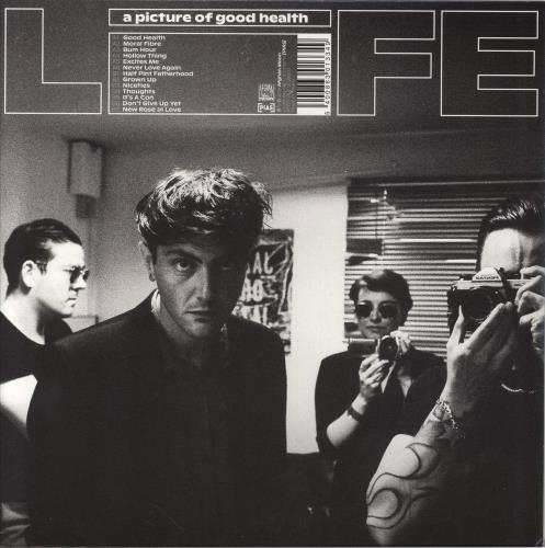 Life A Picture Of Good Health vinyl LP album (LP record) UK IFELPAP858578