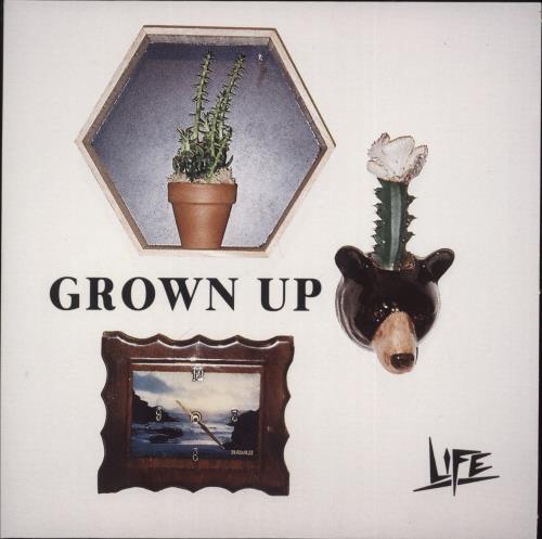 Life Grown Up 7" vinyl single (7 inch record / 45) UK IFE07GR883635
