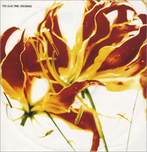 Lilac Time Dreaming 12" vinyl single (12 inch record / Maxi-single) UK LIL12DR257714
