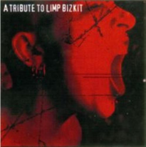 Limp Bizkit A Tribute To Limp Bizkit CD album (CDLP) UK BZKCDAT270806