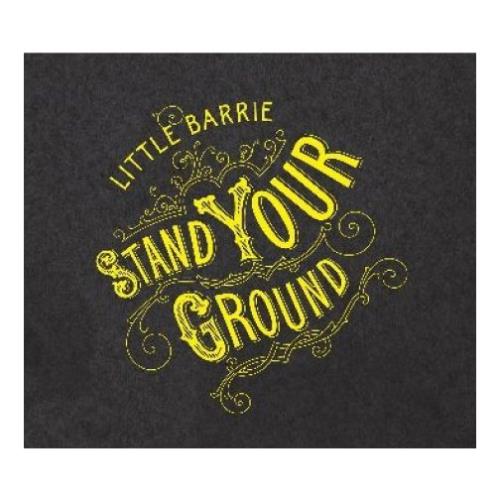 Little Barrie Stand Your Ground vinyl LP album (LP record) UK LT8LPST387814