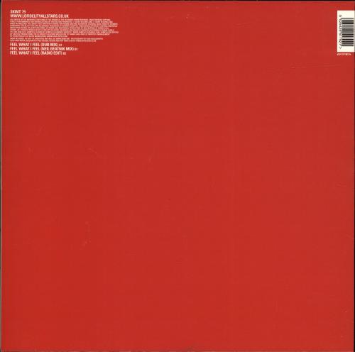 Lo Fidelity Allstars Feel What I Feel 12" vinyl single (12 inch record / Maxi-single) UK LOF12FE689482