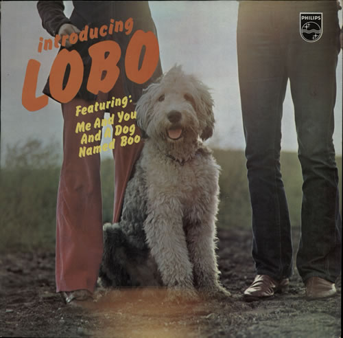 Lobo Introducing Lobo vinyl LP album (LP record) UK L0BLPIN569112