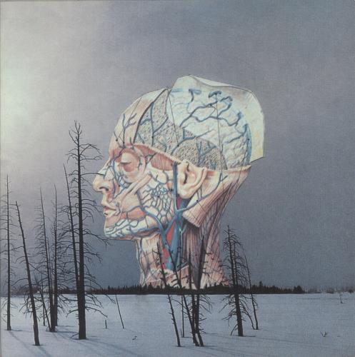 Low Songs For A Dead Pilot 12" vinyl single (12 inch record / Maxi-single) US LAJ12SO870107