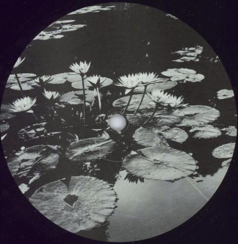 Lust For Youth Growing Seeds vinyl LP album (LP record) Italian 6YZLPGR826912