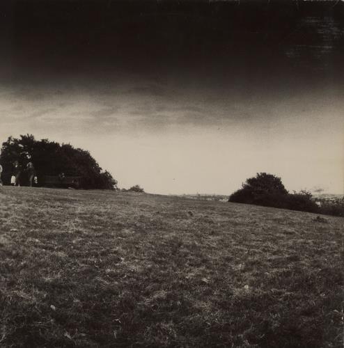 Madness The Rise & Fall - hype sticker vinyl LP album (LP record) UK MDNLPTH760683