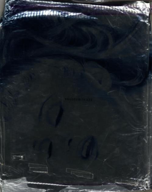 Madonna Sex book Japanese MADBKSE519749