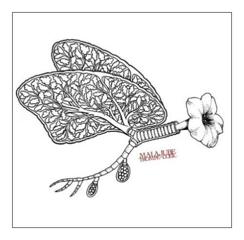 Malajube Trompe - L'oeil CD album (CDLP) UK MJ_CDTR403312