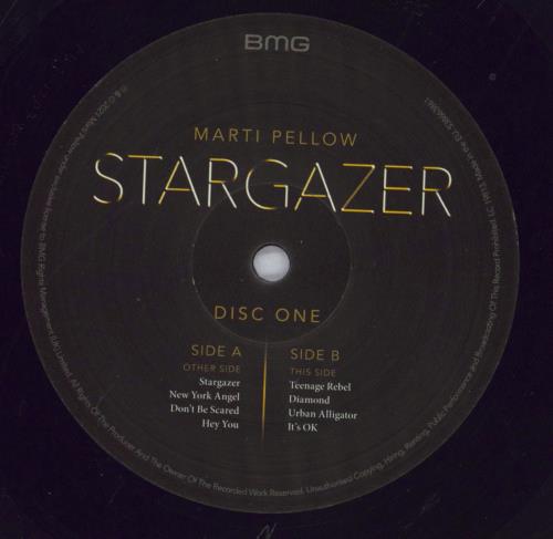 Marti Pellow Stargazer 2-LP vinyl record set (Double LP Album) UK RTY2LST830129