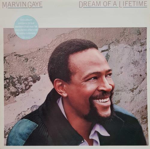 Marvin Gaye Dream Of A Lifetime vinyl LP album (LP record) UK MVGLPDR374713