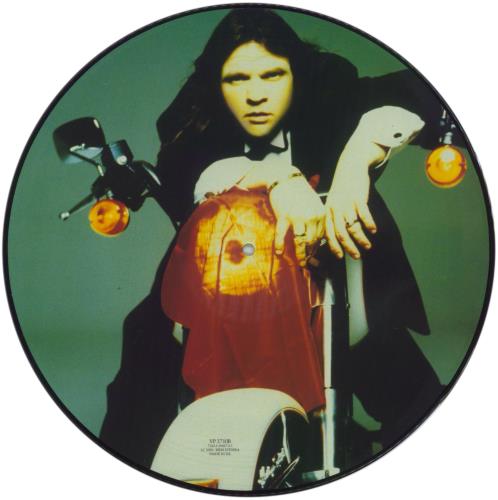 Meat Loaf Bat Out Of Hell II - EX picture disc LP (vinyl picture disc album) UK MEAPDBA572759
