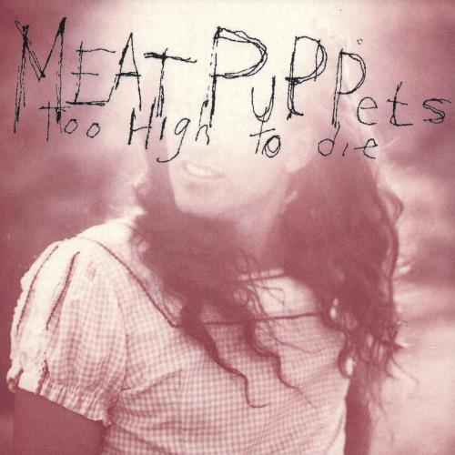 Meat Puppets Too High To Die - VG vinyl LP album (LP record) UK MPULPTO746696