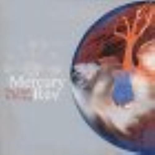 Mercury Rev Dark Is Rising 2-CD single set (Double CD single) European MEV2SDA204218