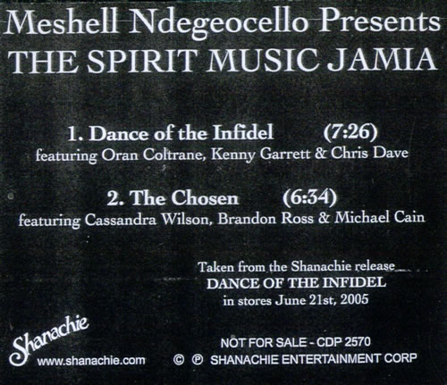 Me'Shell Ndegeocello The Spirit Music Jamia CD-R acetate US MSLCRTH529878