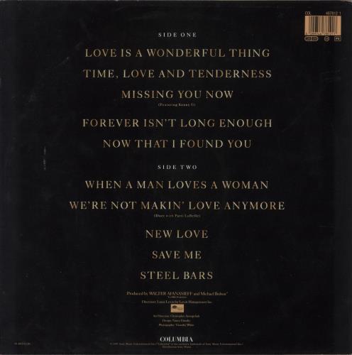 Michael Bolton Time, Love & Tenderness vinyl LP album (LP record) Dutch BOLLPTI588967