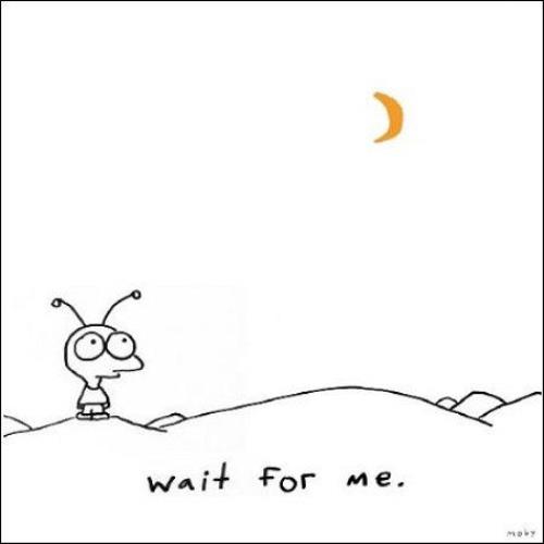 Moby Wait For Me 2 CD album set (Double CD) Australian MBY2CWA474113