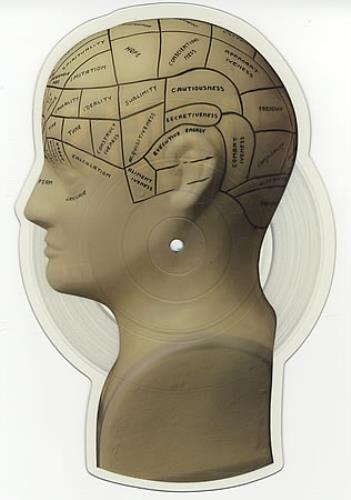 Models Out Of My Mind Out Of Sight shaped picture disc (picture disc vinyl record) UK DL3SHOU389917