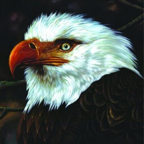 Mogwai The Hawk Is Howling 2-disc CD/DVD set UK MGW2DTH445896