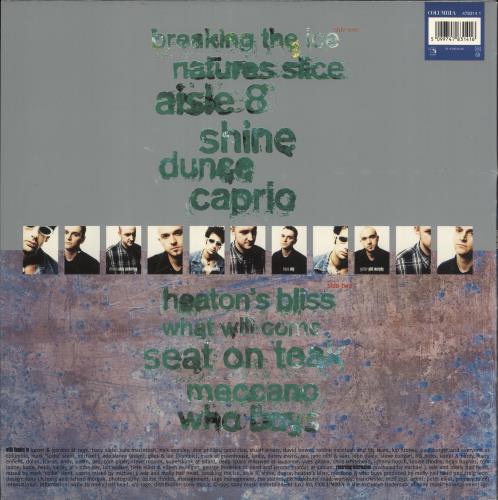 Molly Half Head Dunce vinyl LP album (LP record) UK ML9LPDU745604