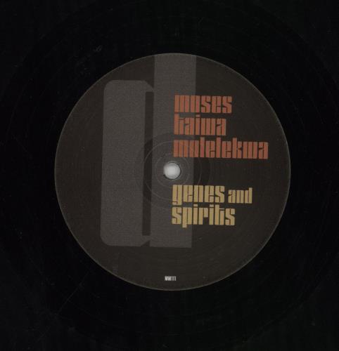 Moses Taiwa Molelekwa Genes And Spirits 2-LP vinyl record set (Double LP Album) UK 8R02LGE850637