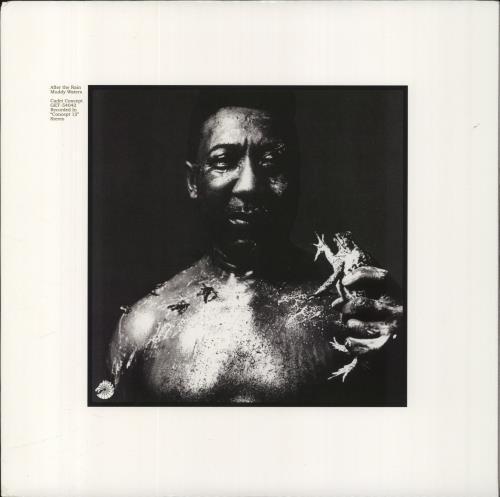 Muddy Waters After The Rain vinyl LP album (LP record) US MDWLPAF841906