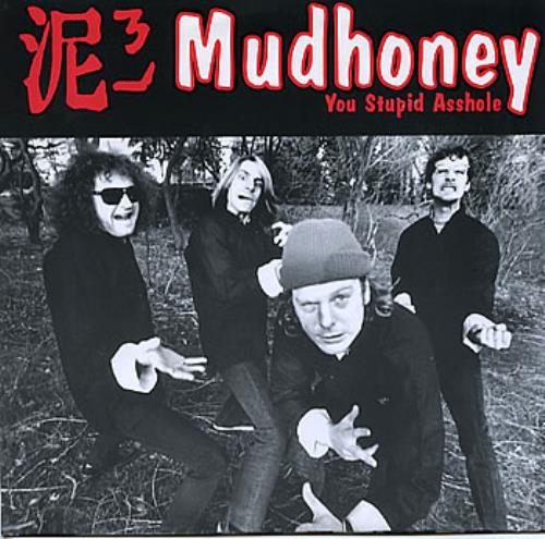 Mudhoney You Stupid Asshole 7" vinyl single (7 inch record / 45) German MUD07YO04082