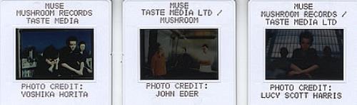 Muse Set Of 3 Slides memorabilia UK USEMMSE246680