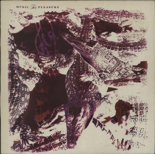 Music For Pleasure Into The Rain vinyl LP album (LP record) UK MZ2LPIN524899
