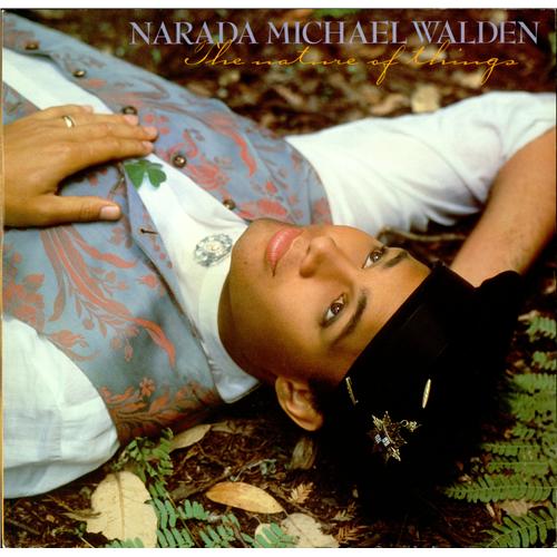 Narada Michael Walden The Nature Of Things vinyl LP album (LP record) UK NMWLPTH425442
