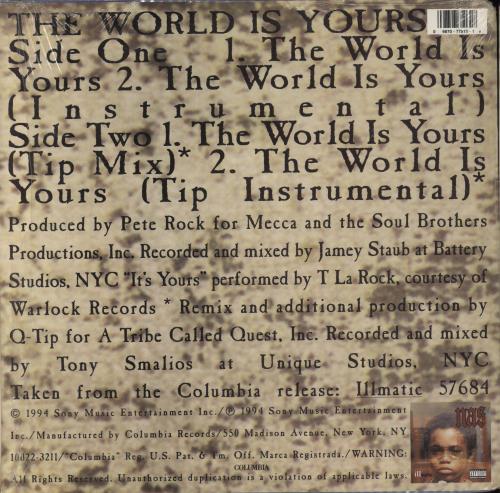 Nas The World Is Yours 12" vinyl single (12 inch record / Maxi-single) US N-S12TH886225