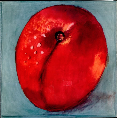 Nectarine Scrap 7" vinyl single (7 inch record / 45) US NFD07SC510175