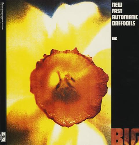 New Fast Automatic Daffodils Big 12" vinyl single (12 inch record / Maxi-single) UK NFA12BI271494