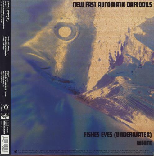 New Fast Automatic Daffodils Fishes Eyes-Autographed label 12" vinyl single (12 inch record / Maxi-single) UK NFA12FI799598