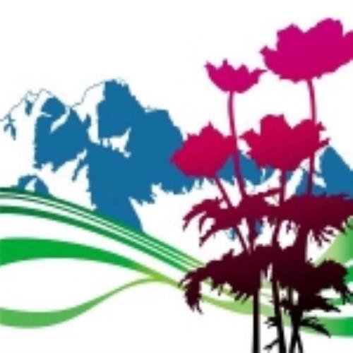 New Order International 2-disc CD/DVD set US NEW2DIN237292