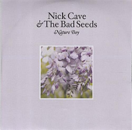 Nick Cave Nature Boy CD single (CD5 / 5") UK NCVC5NA302730