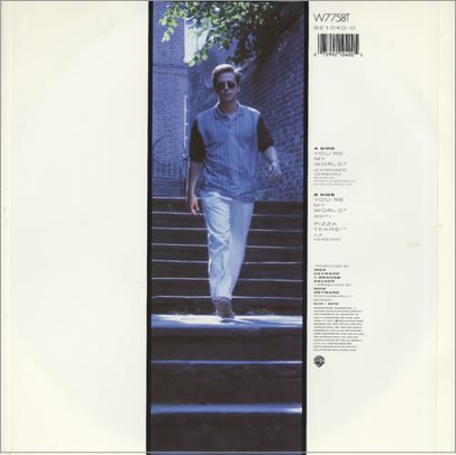 Nick Heyward You're My World 12" vinyl single (12 inch record / Maxi-single) UK N-H12YO189092