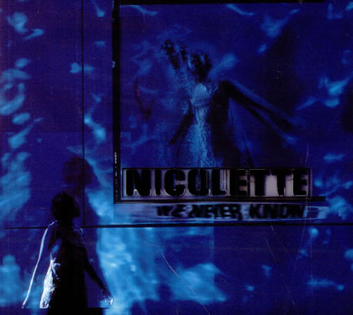 Nicolette We Never Know CD single (CD5 / 5") UK NCLC5WE515950