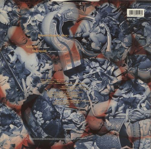 Nirvana (US) Heart Shaped Box - EX 12" vinyl single (12 inch record / Maxi-single) UK NIR12HE37119