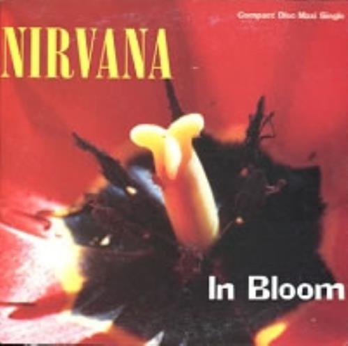 Nirvana (US) In Bloom CD single (CD5 / 5") Australian NIRC5IN171875