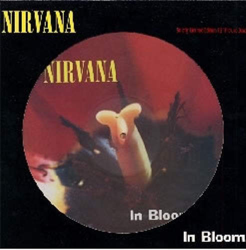 Nirvana (US) In Bloom 12" vinyl picture disc (12 inch picture record) UK NIR2PIN27489