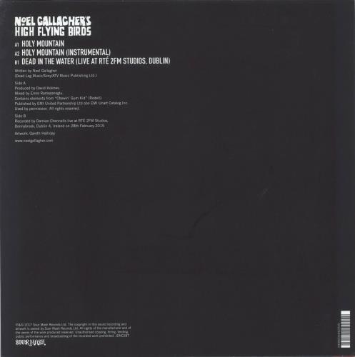 Noel Gallagher Holy Mountain 12" vinyl picture disc (12 inch picture record) UK NGL2PHO849606