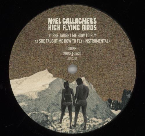 Noel Gallagher She Taught Me How To Fly 12" vinyl single (12 inch record / Maxi-single) UK NGL12SH881570