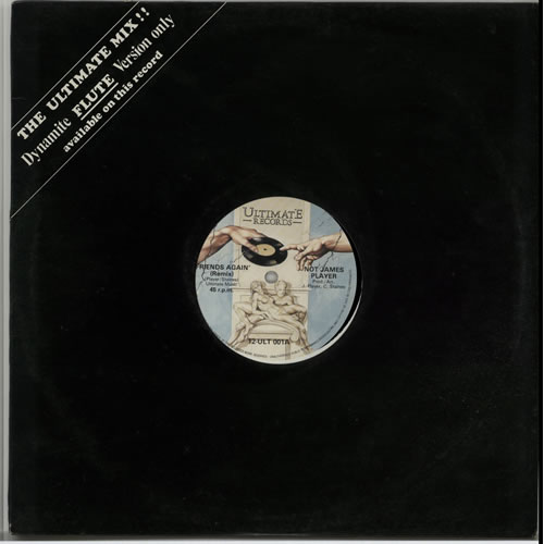 Not James Player Friends Again 12" vinyl single (12 inch record / Maxi-single) UK N8T12FR637425