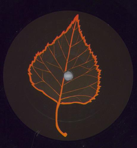 Oi Polloi D�isg! + Fanzine vinyl LP album (LP record) German Z4-LPDI823339