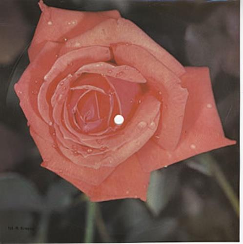 Olivia Newton John Suddenly - Flexidisc 7" vinyl single (7 inch record / 45) Polish ONJ07SU35500