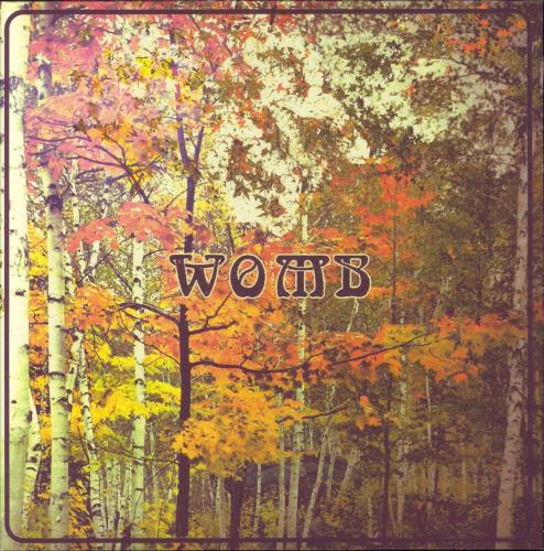 ORB Womb - Orange, Brown & White Twister Wax Vinyl vinyl LP album (LP record) Australian 83LLPWO860468